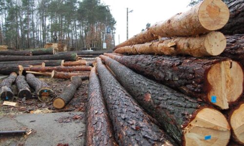 Produkcja z drewna spada, więc branża apeluje o interwencję