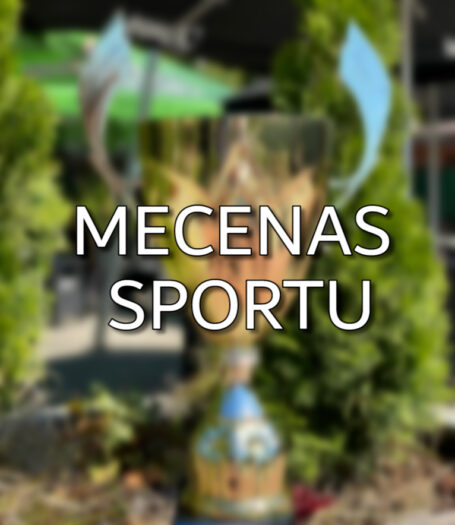 Mecenas Sportu (1)