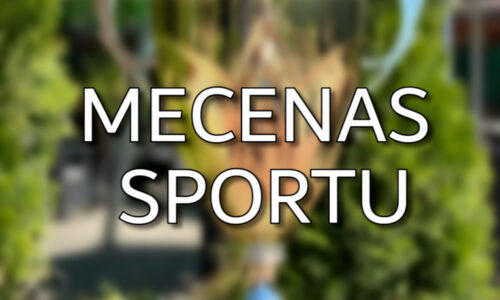 Konkurs Mecenas Sportu – głosuj na branżowych mecenasów!