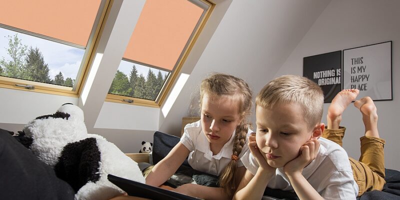 FAKRO PRODUCENT OKIEN DACHOWYCH intelligence overview