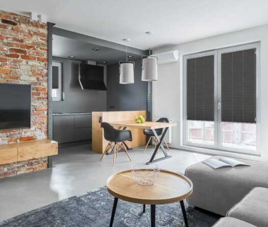 N517 - living room - pilsy Anwis