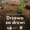 CAL po raz ósmy sadzi drzewa w ramach akcji „Drzewo za drzwi”