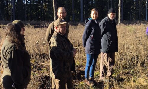 CAL prawdziwe drzwi Drzewo za drzwi_2025_01