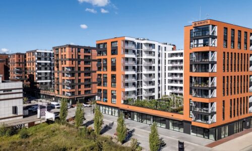 ROTO podsumowuje 2025: niezawodnie i blisko klienta