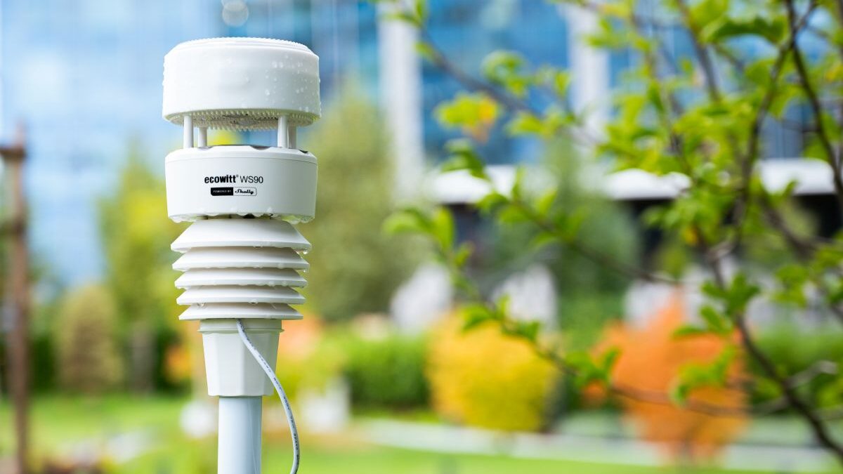 Shelly_Ecowitt