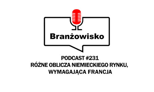 mini podcast 231
