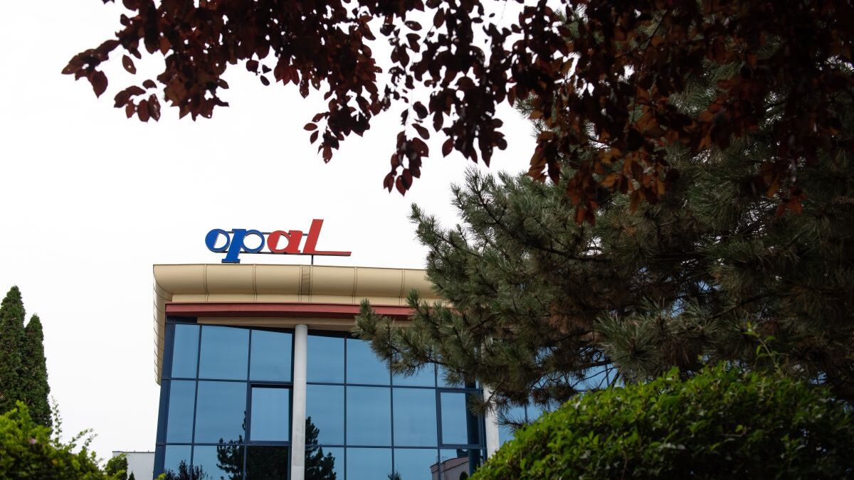 Opal Grodzisk Wielkopolski